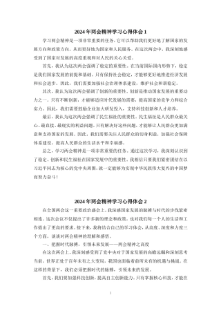 2024年两会精神学习心得体会