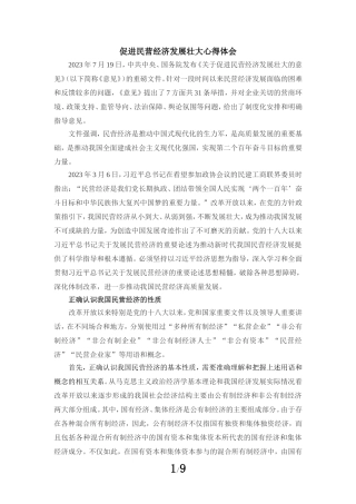 促进民营经济发展壮大心得体会04