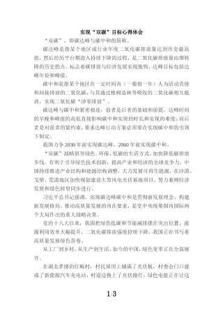 实现“双碳”目标心得体会