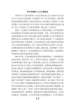 学习共青团第十九次全国代表大会精神感悟一