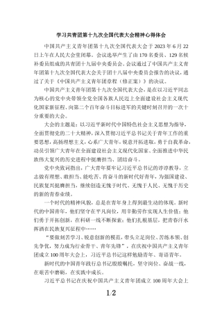 学习共青团第十九次全国代表大会精神心得体会2