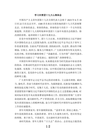 学习共青团十九大心得体会 六