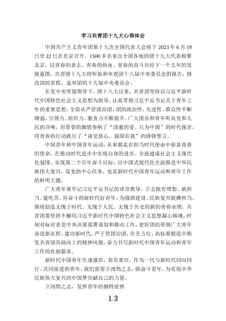 学习共青团十九大心得体会 五