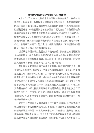 新时代推动东北全面振兴心得体会三
