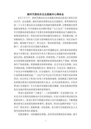 新时代推动东北全面振兴心得体会四