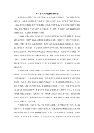 2024学习六大纪律心得体会三