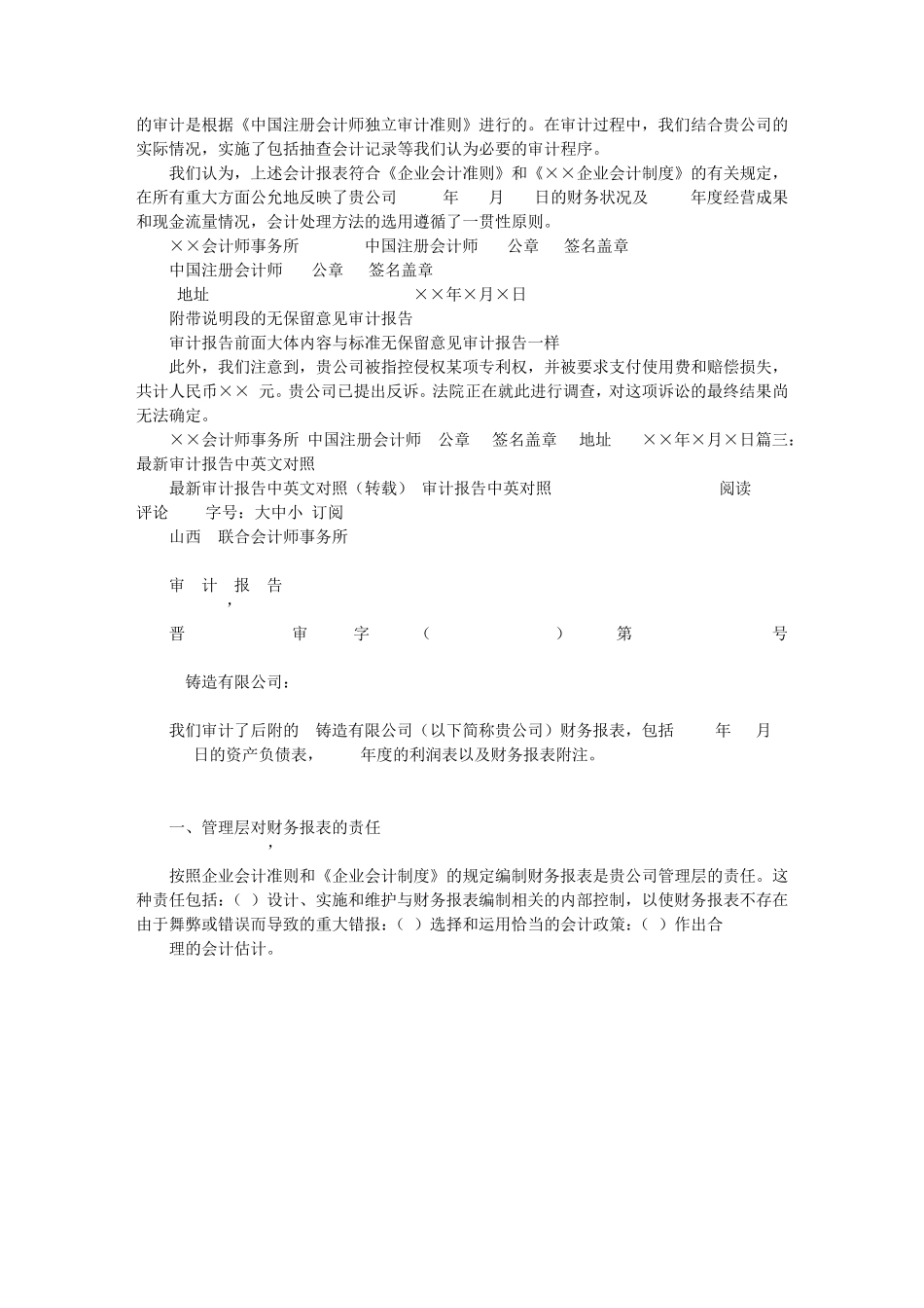 最新审计报告格式_第3页