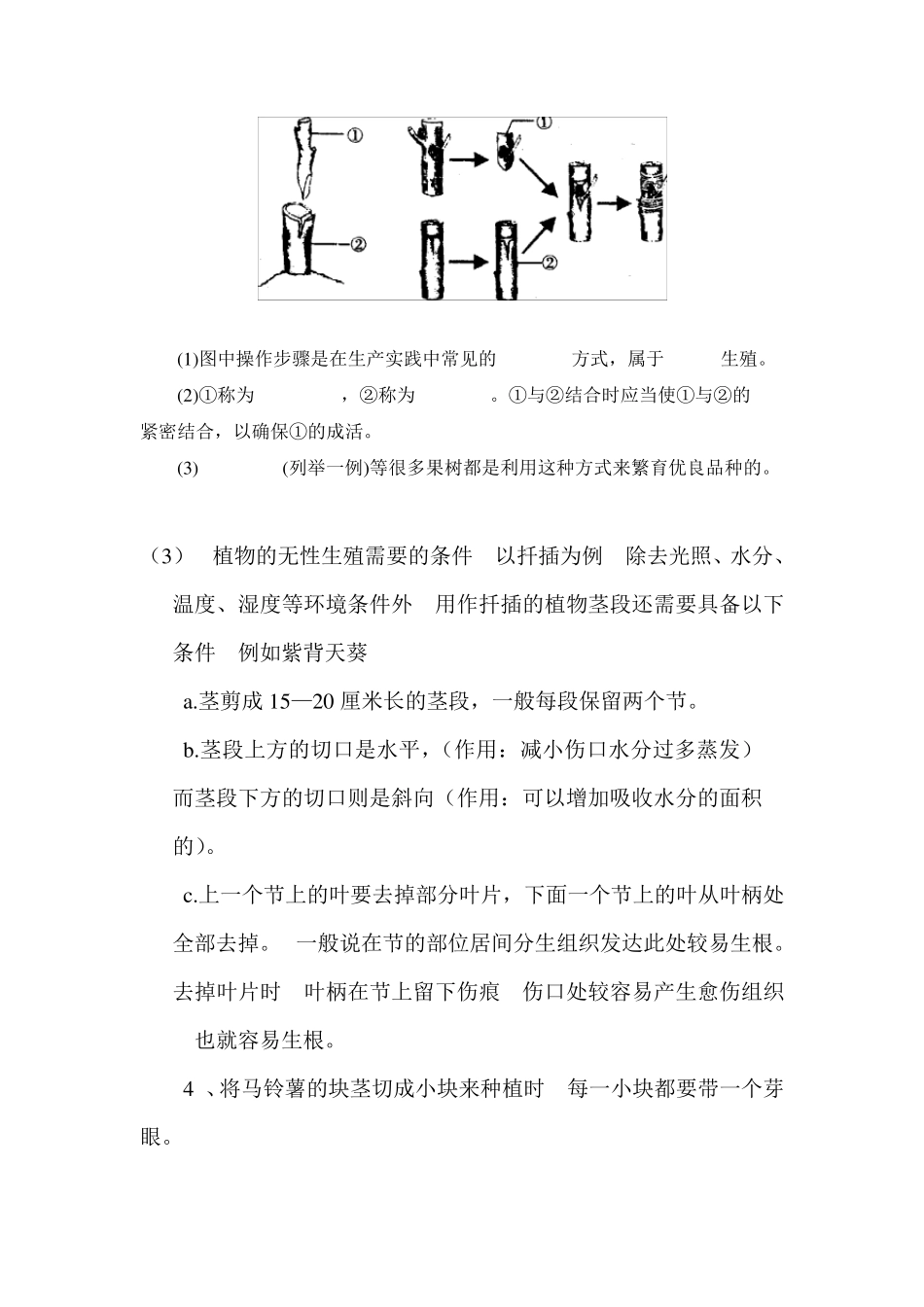 最新整理人教版八年级生物下册知识点总结_第2页