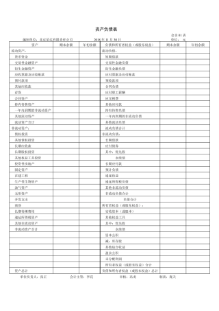 最新格式的资产负债表和利润表