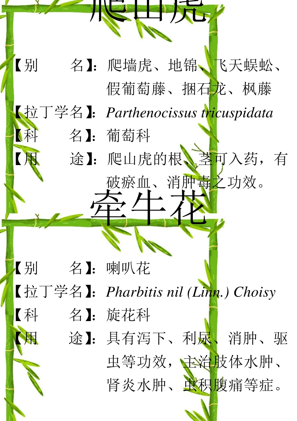 最新植物校园挂牌_第1页