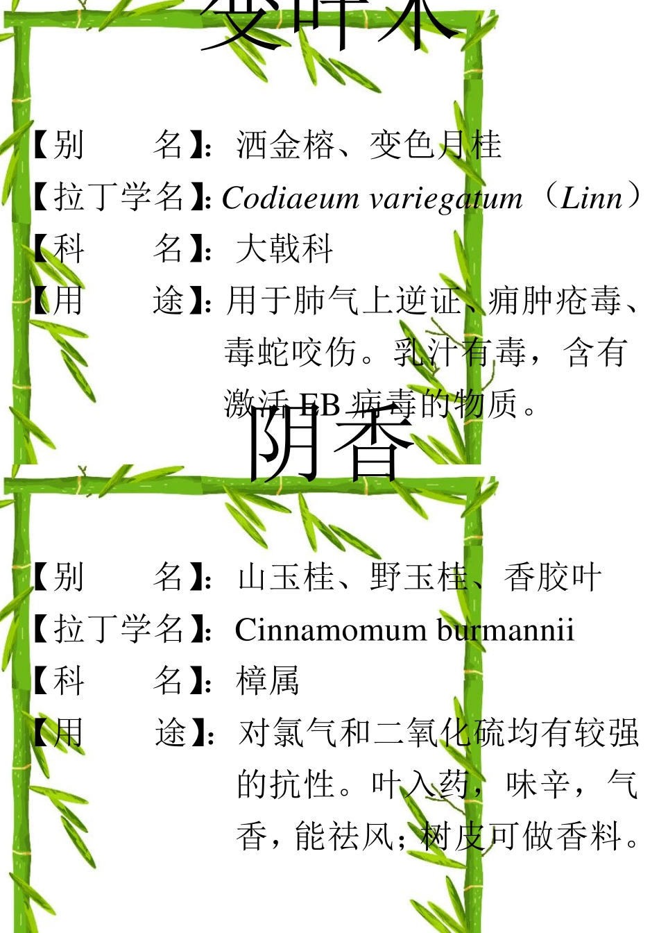 最新植物校园挂牌_第2页