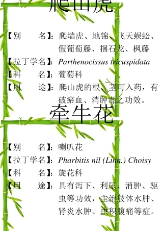 最新植物校园挂牌