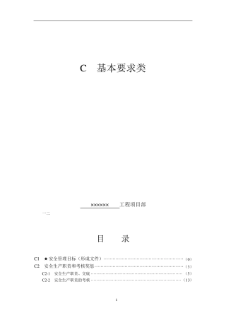 最新版上海安全资料(C基本要求类)