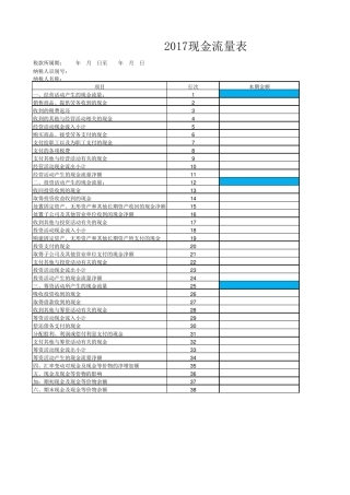 最新现金流量表模板(2017版)