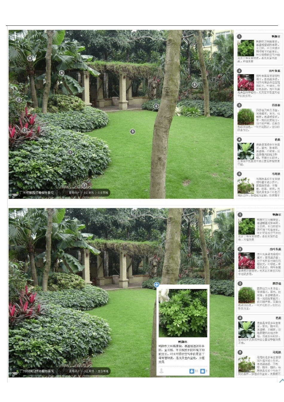 最新经典植物配置案例分享_第2页