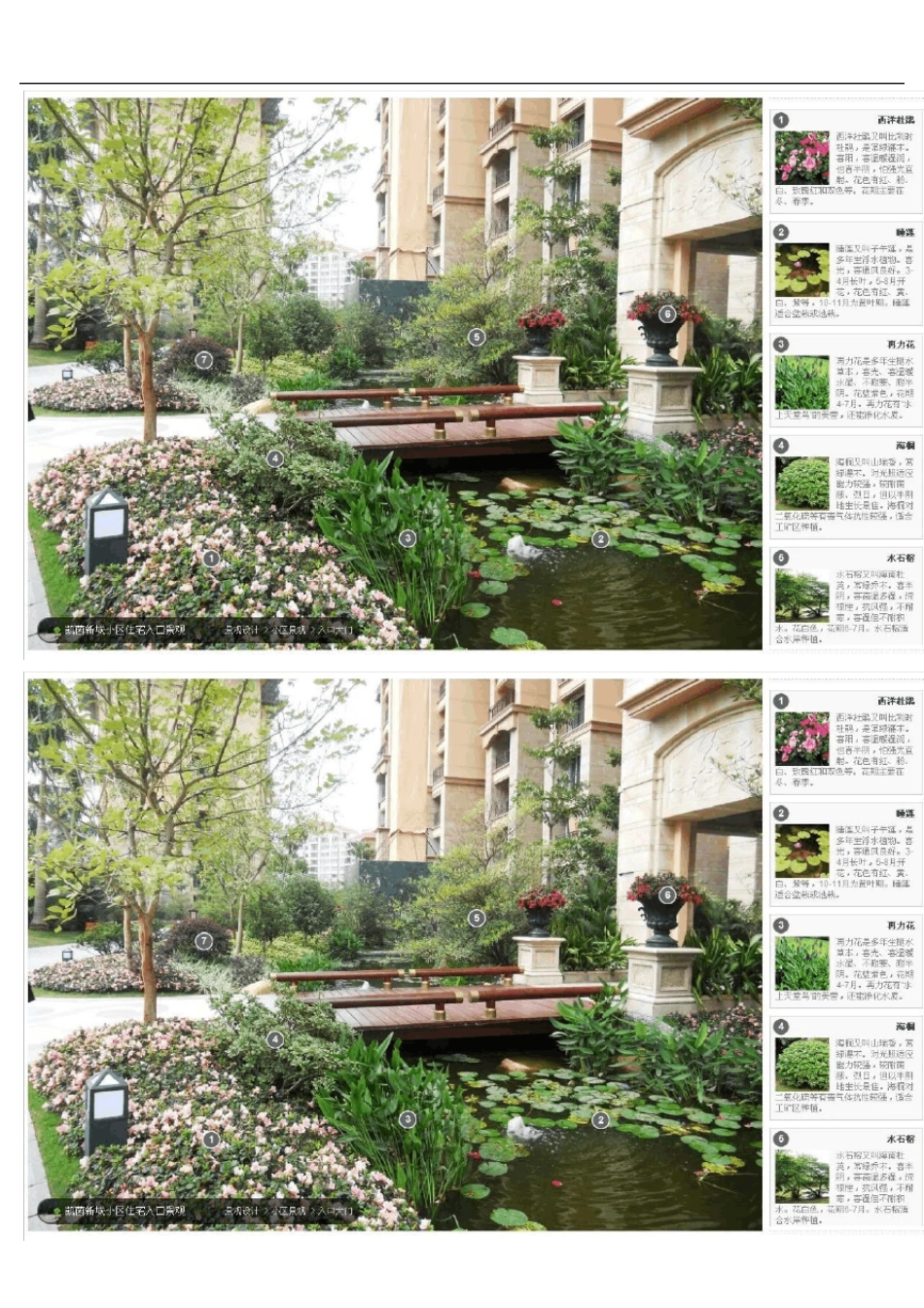 最新经典植物配置案例分享_第3页