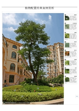 最新经典植物配置案例分享