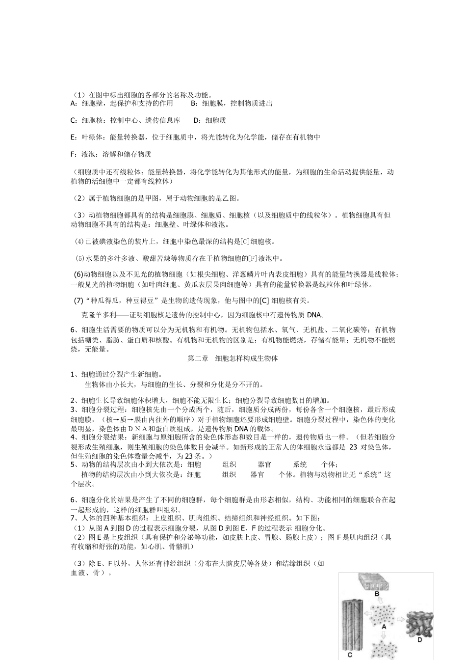 最新部编人教版七年级生物上册期末必考知识点_第3页