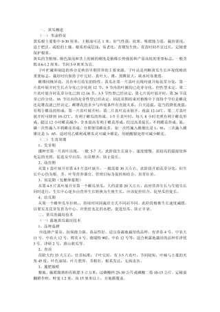 最新黄瓜高产栽培技术