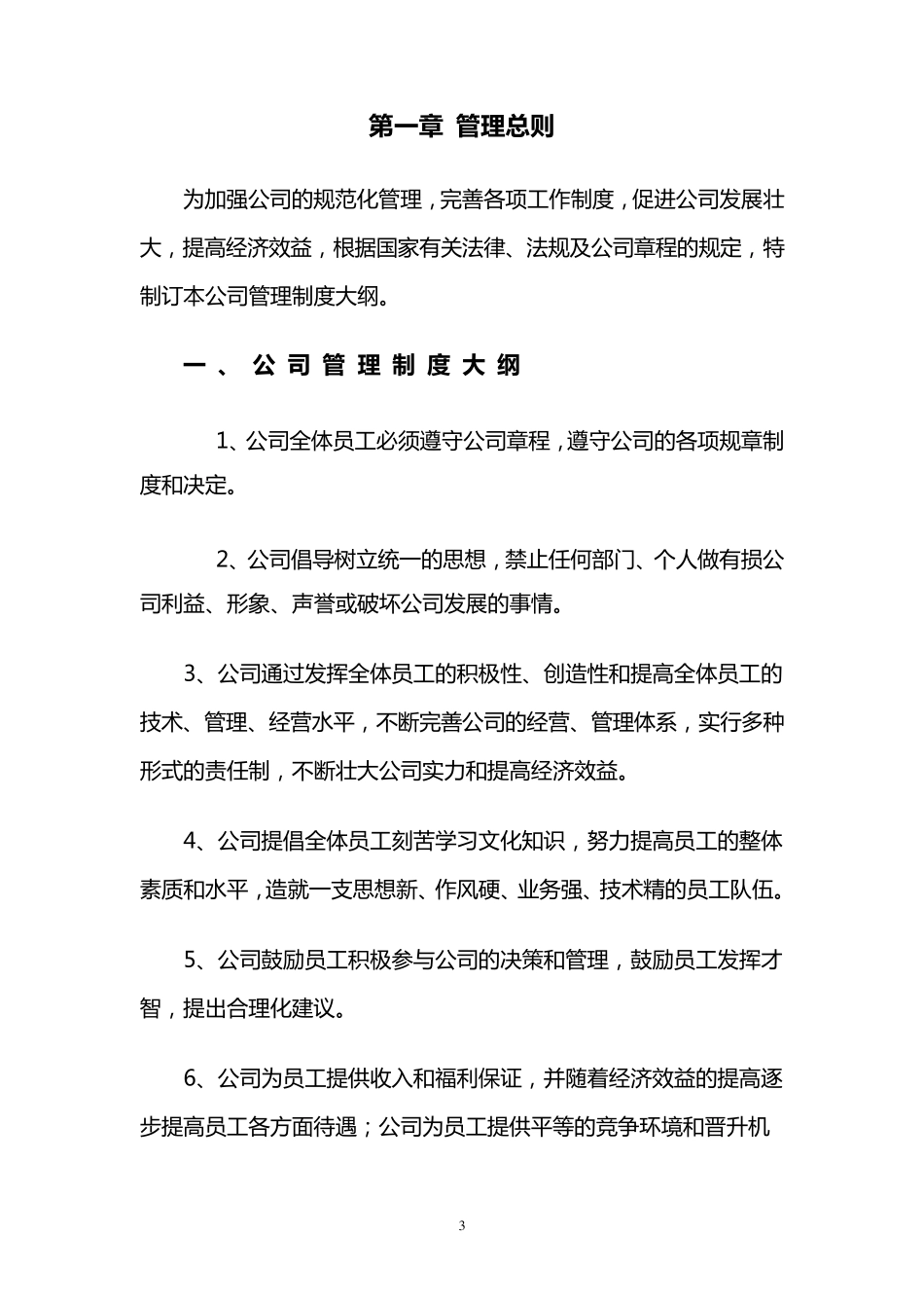 最简单明了的公司管理制度_第3页