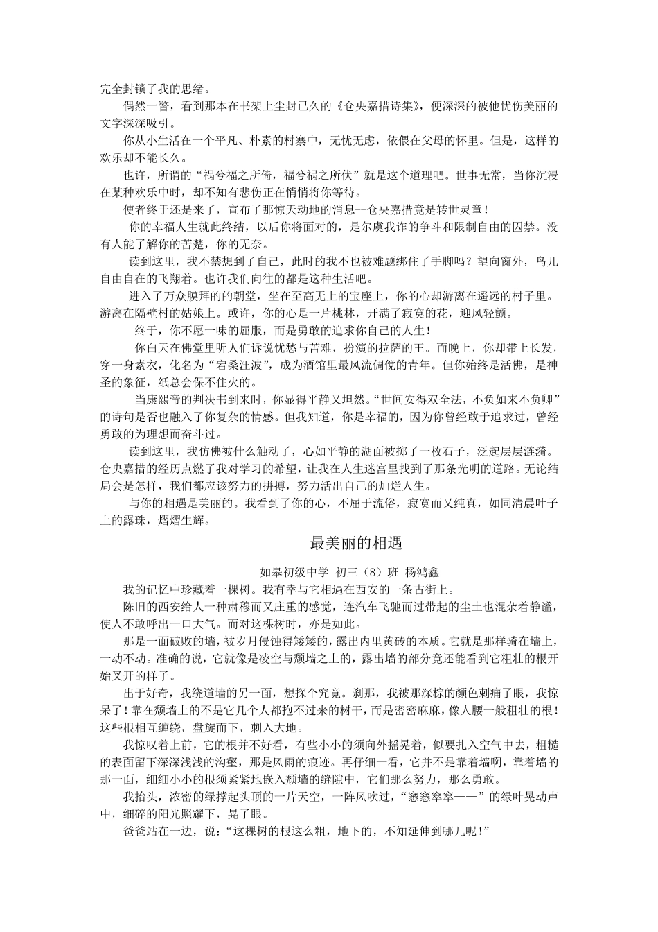 最美丽的相遇(优秀作文汇编)_第3页