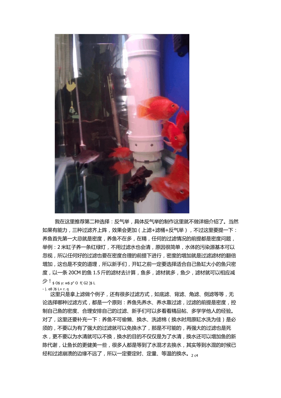 最详细全面的鱼缸过滤系统_第2页