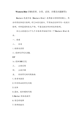 最详细的Western_Blot过程步骤详解