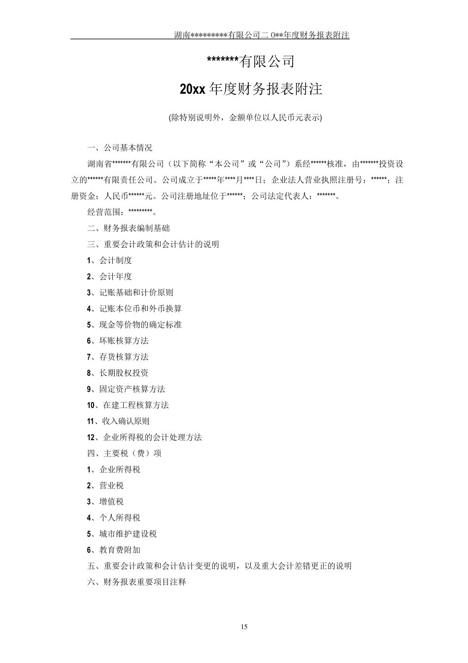 最详细的年度财务报表附注模板_第1页