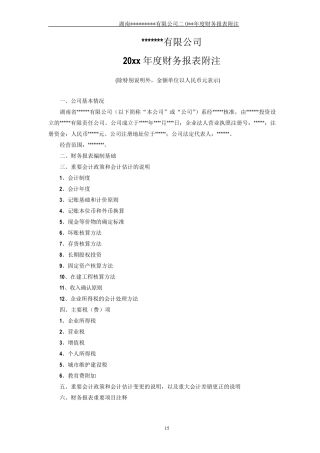 最详细的年度财务报表附注模板