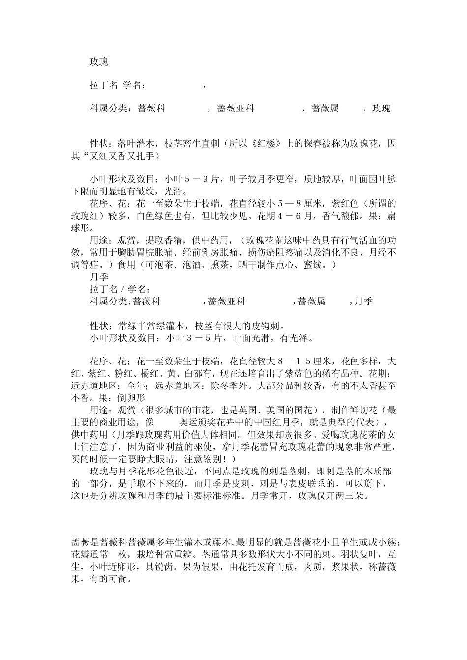 月季与玫瑰之区别_第3页