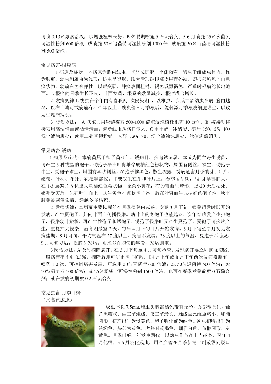 月季病虫害防治_第2页