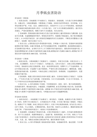 月季病虫害防治