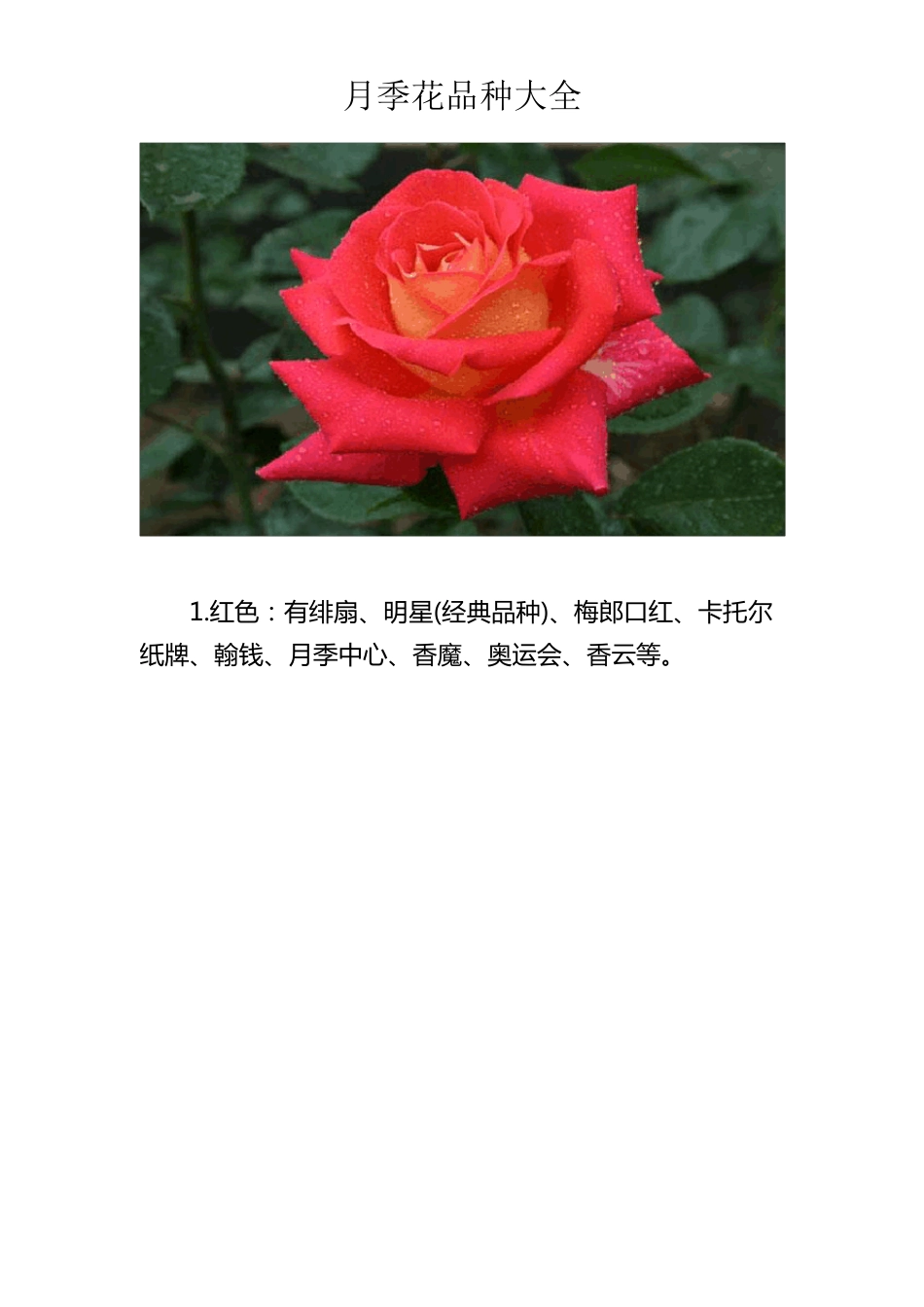 月季花品种大全_第1页