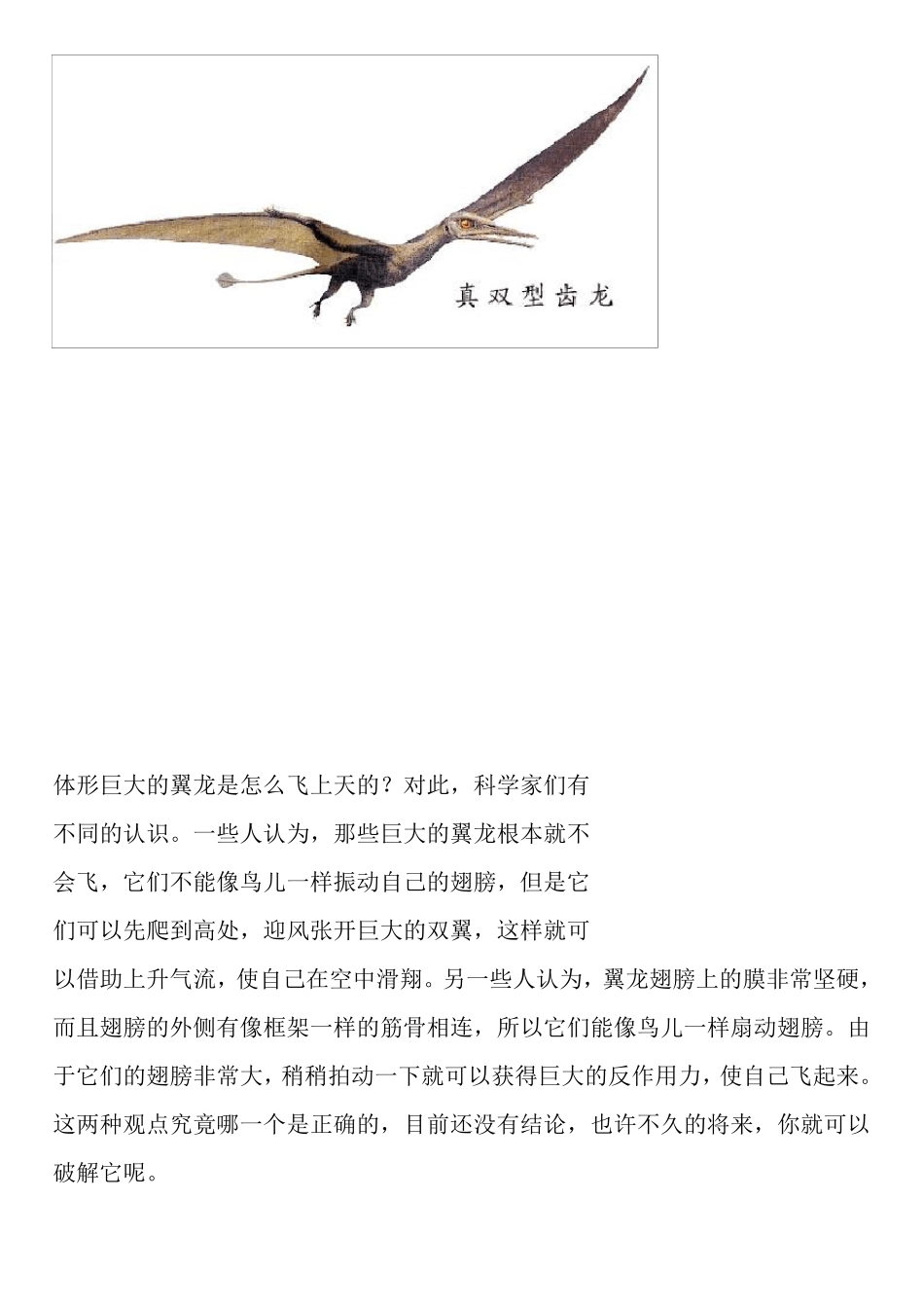 有关恐龙的资料及图片_第3页