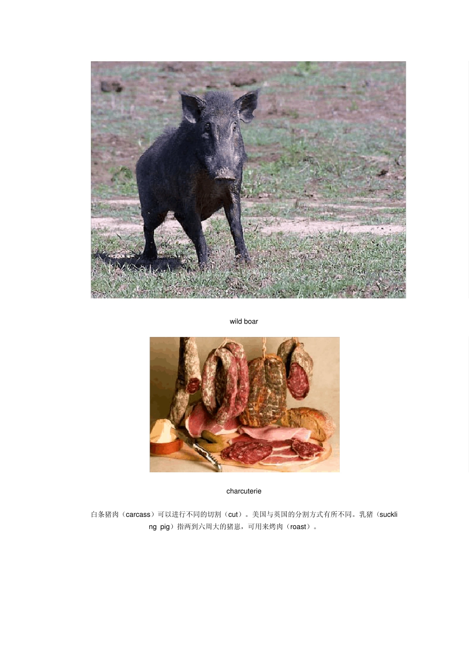 有关猪肉部位及产品的英文表达(图)_第3页
