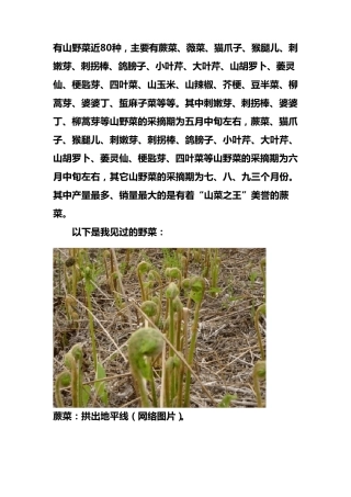 有山野菜近80种