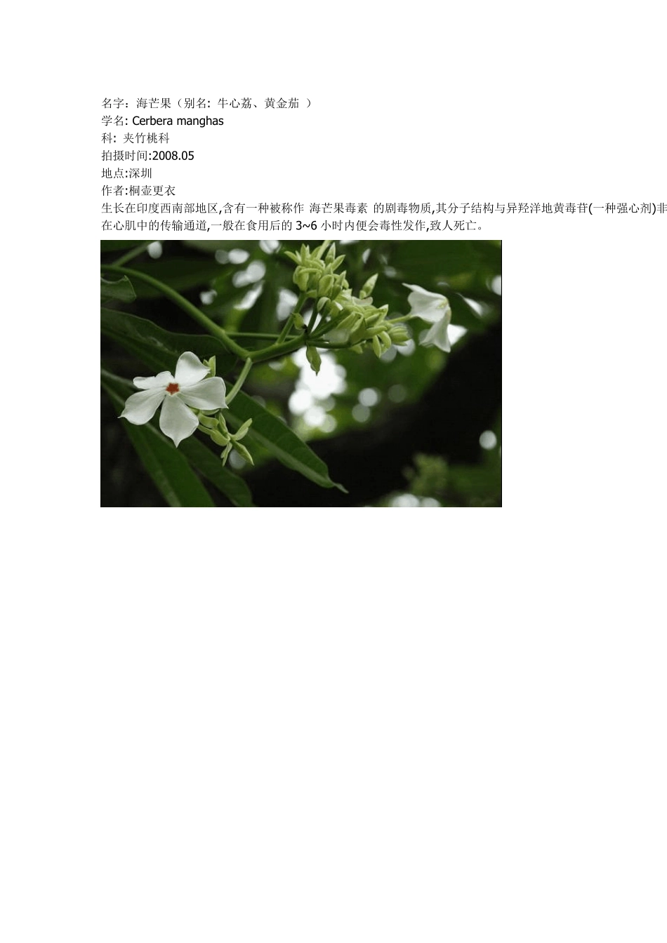 有毒植物大全_第2页