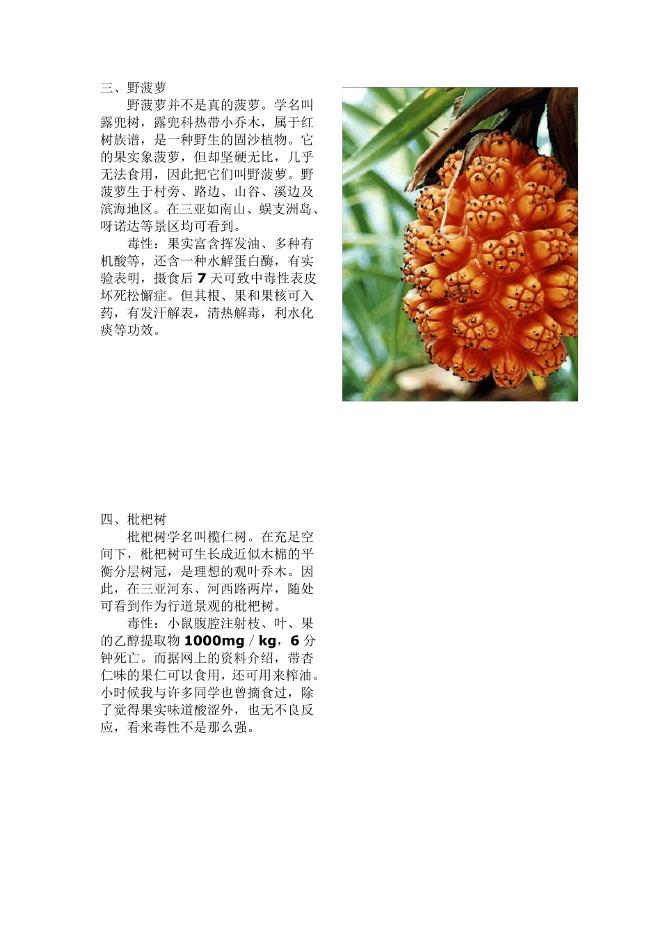 有毒野果··有毒菌类_第2页