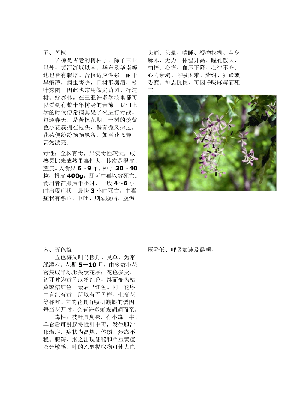 有毒野果··有毒菌类_第3页