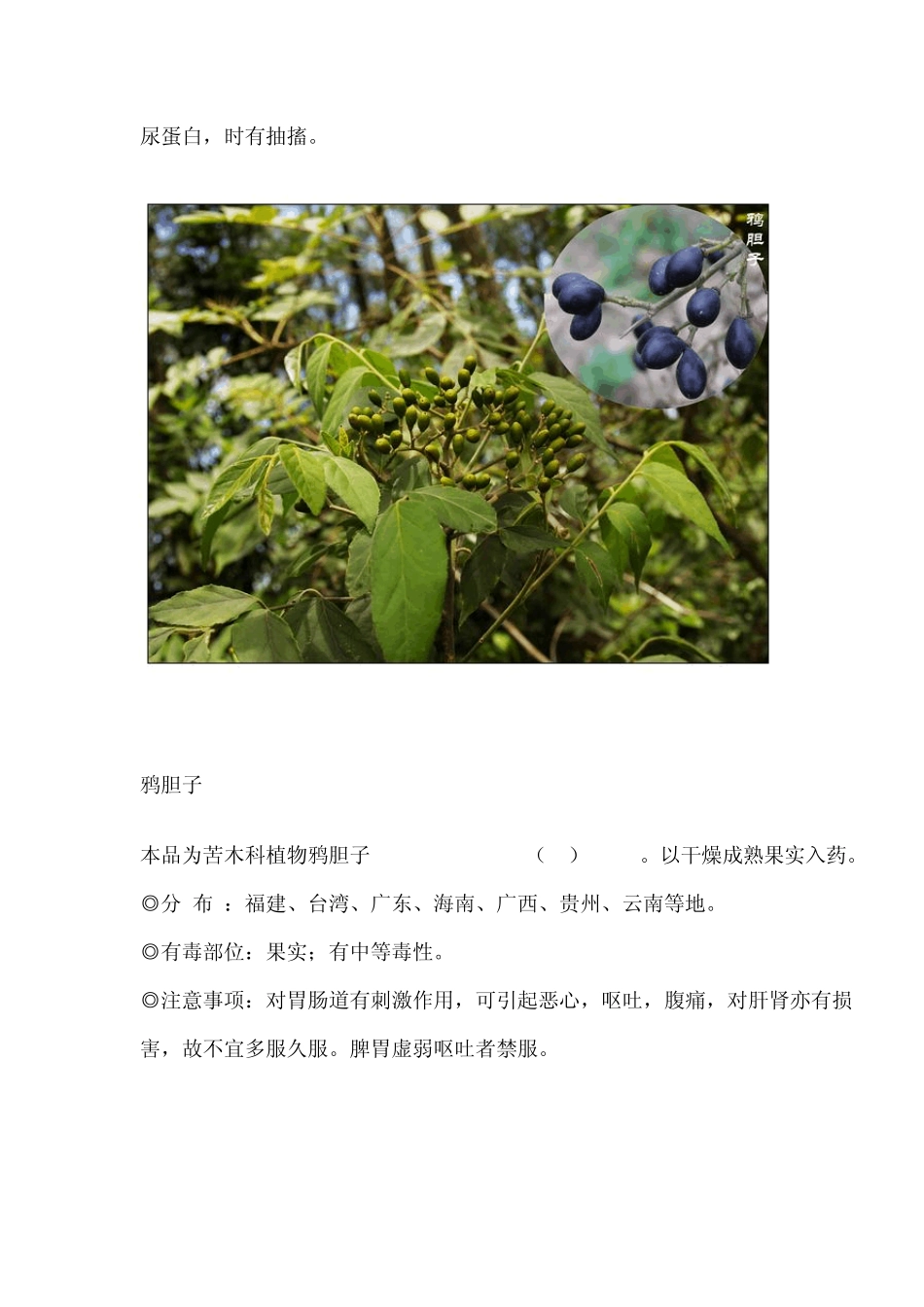 有毒植物大全附带图片图片_第3页
