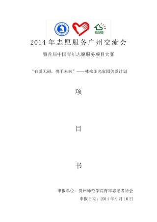 有爱无碍项目申报书