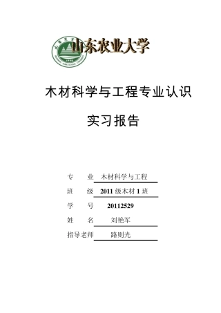 木材学实习报告