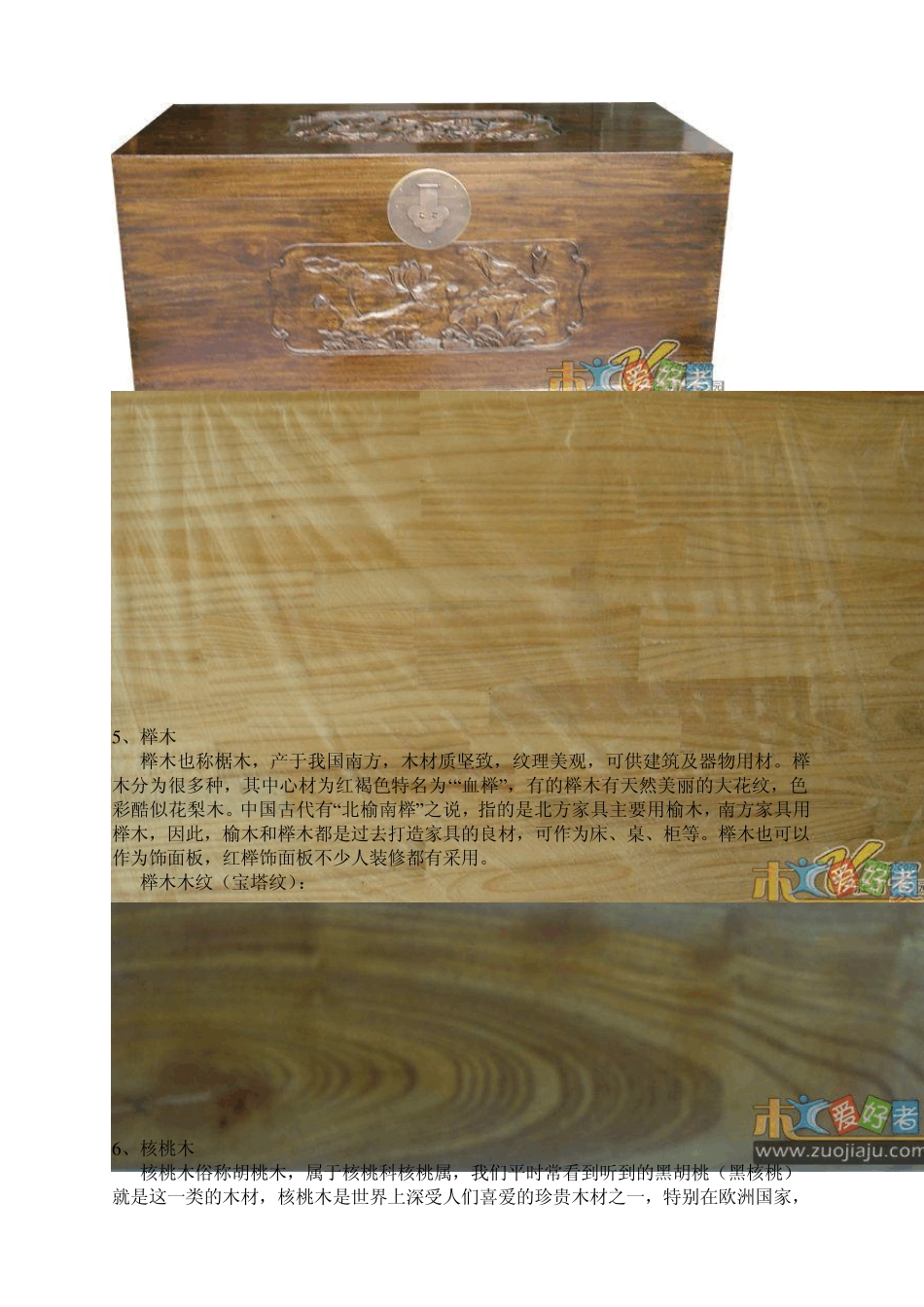 木材种类特征介绍(配图解)_第3页