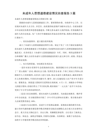 未成年人思想道德建设情况自查报告3篇