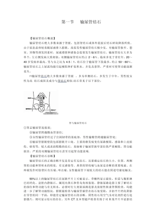 泌尿系统结石资料