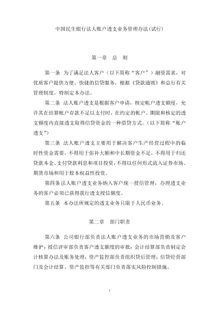 法人账户透支业务管理办法