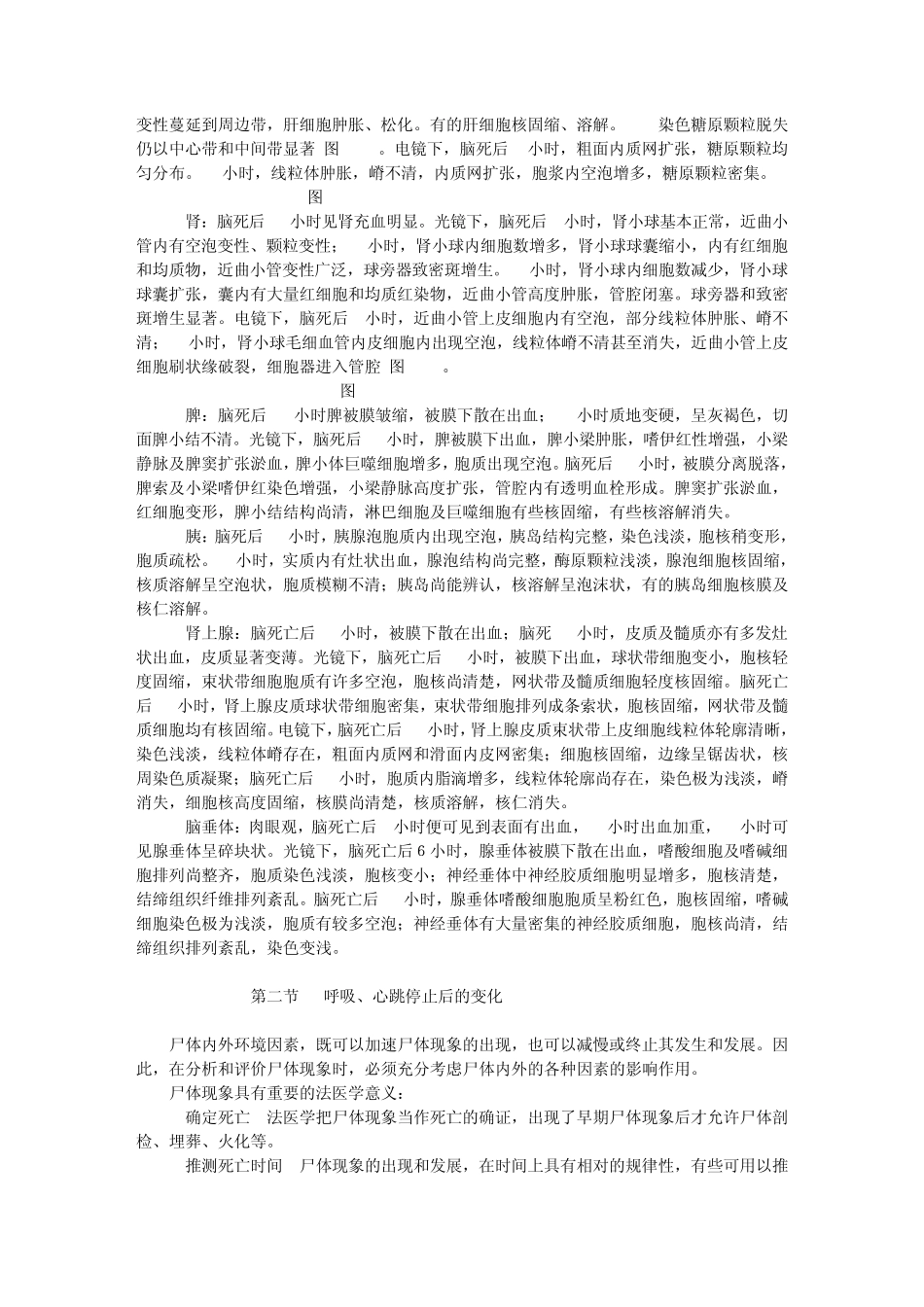 法医病理学死后变化_第2页
