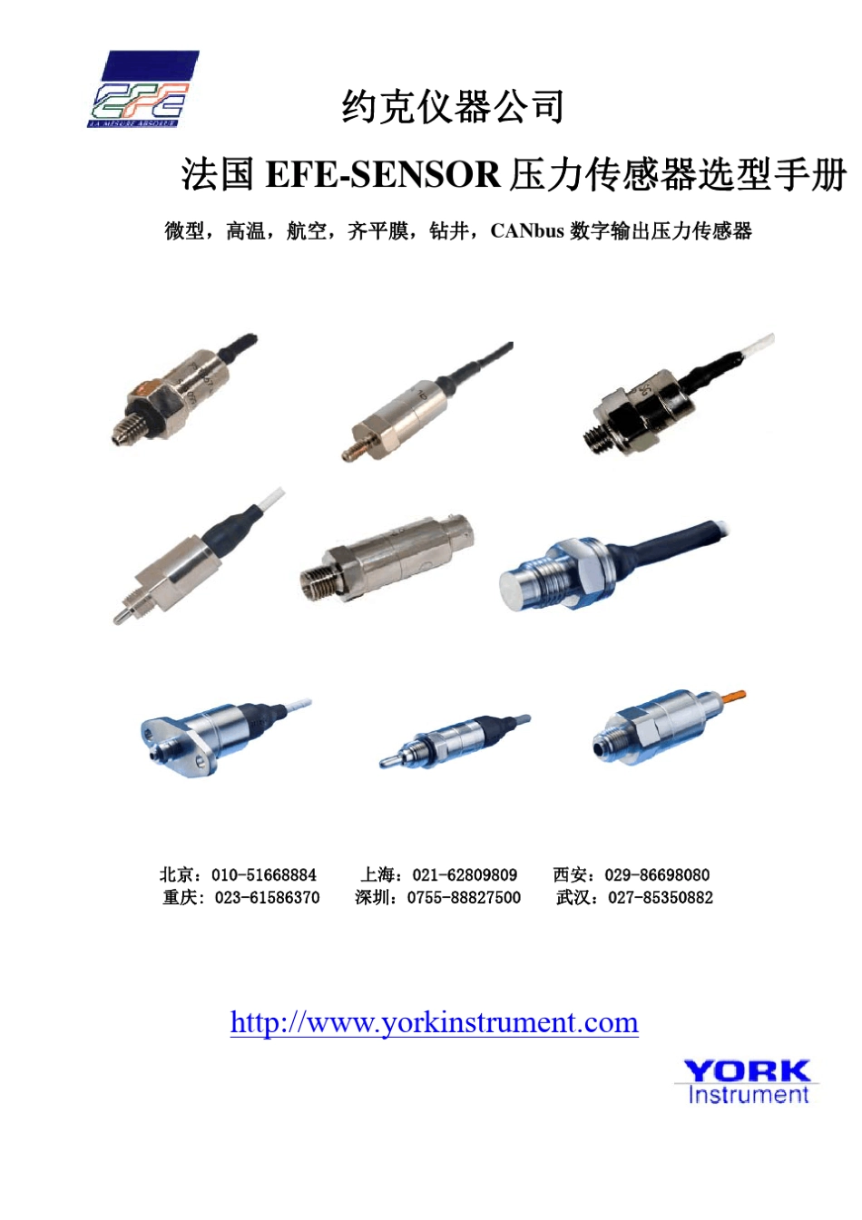 法国EFE高端压力传感器选型资料_第1页