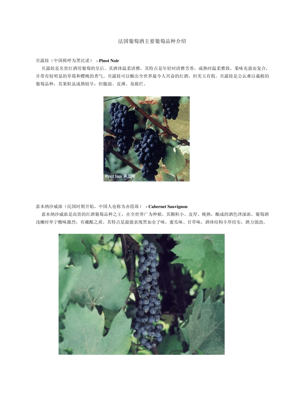 法国葡萄酒主要葡萄品种介绍_第1页