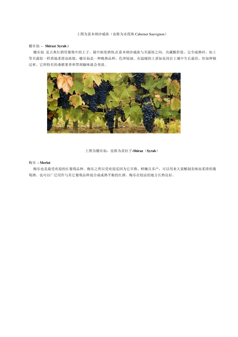 法国葡萄酒主要葡萄品种介绍_第2页